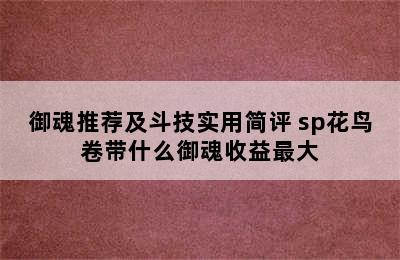 御魂推荐及斗技实用简评 sp花鸟卷带什么御魂收益最大